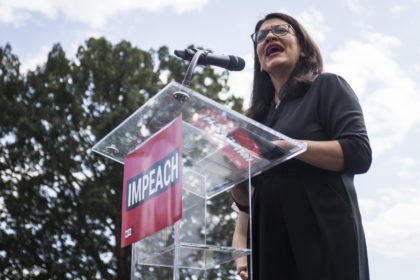 WASHINGTON, DC - SEPTEMBER 26: U.S. Rep. Rashida Tlaib (D-MI) speaks at a rally hosted by