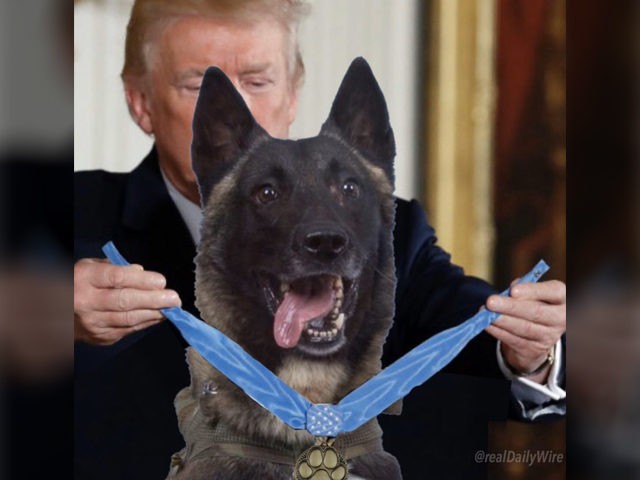 Anti-Trump leftists reacted negatively on Twitter Wednesday to President Trump's tweet of a photoshopped image honoring the hero dog that chased Islamic State (ISIS) founder and leader, Abu Bakr al-Baghdadi, into a tunnel.