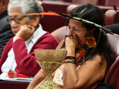 A representative of one of the Amazon Rainforest's ethnic groups attends the morning session, on the second day of the Special Assembly of the Synod of Bishops for the Pan-Amazon Region on October 8, 2019 in the Vatican. - Pope Francis is gathering Catholic bishops at the Vatican to champion …