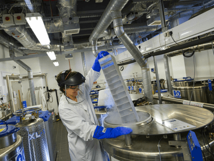 CAMBRIDGE, UNITED KINGDOM - DECEMBER 09: A scientist lowers biological samples into a liqu