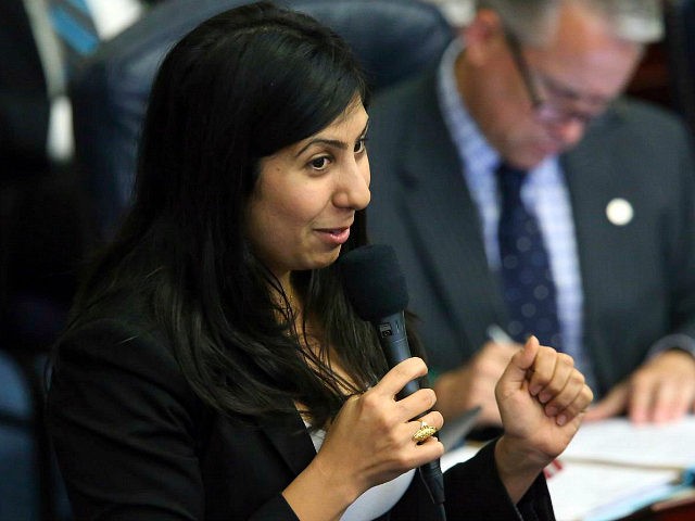 Rep. Anna Eskamani, D-Orlando, debates on a highway bill during session Wednesday May 1, 2019, in Tallahassee, Fla. (AP Photo/Steve Cannon)