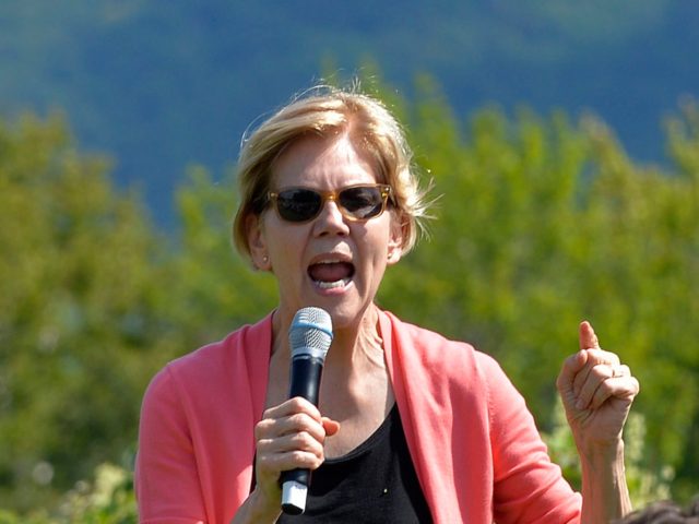 Democratic presidential candidate Elizabeth Warren speaks to supporters during a campaign stop and town hall at Toad Hill Farm in Franconia, New Hampshire, overlooking the White Mountains on August 14, 2019. (Photo by JOSEPH PREZIOSO / AFP) (Photo credit should read JOSEPH PREZIOSO/AFP/Getty Images)