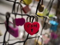 padlock on a fence