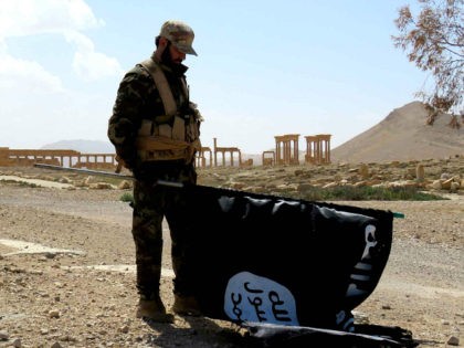 A member of the Syrian pro-government forces carries an Islamic State (IS) group flag as he stands on a street in the ancient city of Palmyra on March 27, 2016, after troops recaptured the city from IS jihadists. President Bashar al-Assad hailed the victory as an "important achievement" as his …