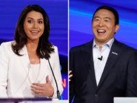 tulsi-gabbard-andrew-yang-ap