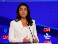 Democratic presidential candidate Rep. Tulsi Gabbard, D-Hawaii, left, and businessman Tom Steyer participate in a Democratic presidential primary debate hosted by CNN/New York Times at Otterbein University, Tuesday, Oct. 15, 2019, in Westerville, Ohio. (AP Photo/John Minchillo)