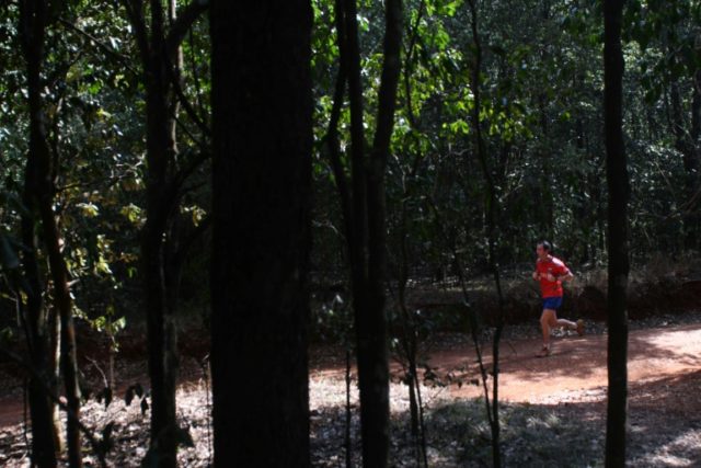 From hotbed of crime to joggers' paradise: Nairobi forest thrives