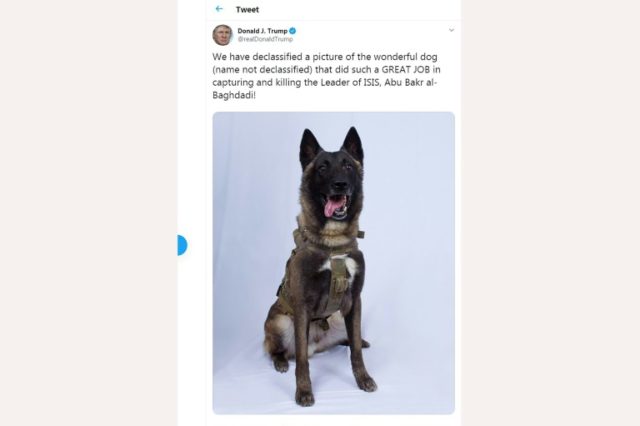 This screen shot of US President Donald Trump Twitter account taken on October 28, 2019 in Washington DC, shows a picture of a dog that helped capture the Leader of ISIS Abu Bakr al-Baghdadi 'Hero" dog to get a White House homecoming: Trump
