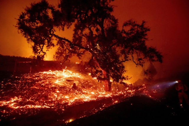 APTOPIX California Wildfires Embers fly from a tree as the Kincade Fire burns near Geyserville, Calif., on Thursday, Oct. 24, 2019. Portions of Northern California remain in the dark after Pacific Gas & Electric Co. cut power to prevent wildfires from sparking during dry and windy conditions. (AP Photo/Noah Berger) The Associated Press