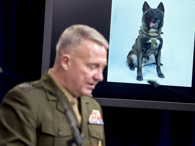 A working military dog is displayed on a monitor as U.S. Central Command Commander Marine Gen. Kenneth McKenzie speaks at a joint press briefing at the Pentagon in Washington, Wednesday, Oct. 30, 2019, on the Abu Bakr al-Baghdadi raid. (AP Photo/Andrew Harnik)