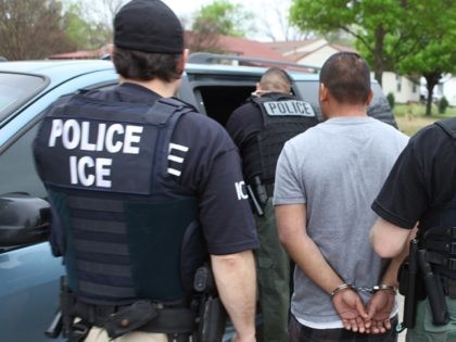 ICE Enforcement and Removal Operations officers place a criminal alien in custody. (File P
