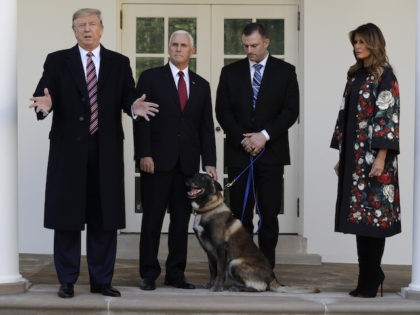 President Donald Trump, Vice President Mike Pence and first lady Melania Trump, present Conan, the military working dog injured in the successful operation targeting Islamic State leader Abu Bakr al-Baghdadi, before the media in the Rose Garden at the White House, Monday, Nov. 25, 2019 in Washington.
