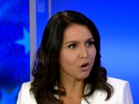 Tulsi Gabbard on FNC, 10/31/2019
