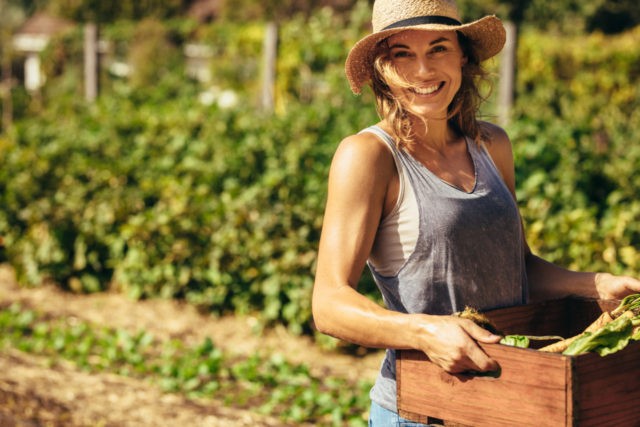 Friendly woman harvesting fresh vegetables from her farm.