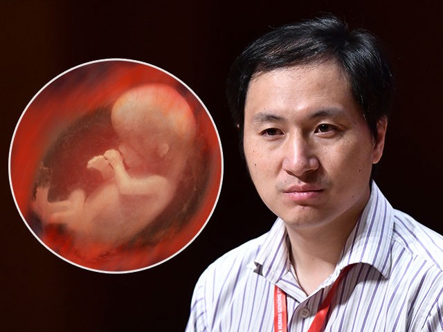 (INSET: Internal view of a human fetus - approx. 10 weeks) Chinese scientist He Jiankui speaks at the Second International Summit on Human Genome Editing in Hong Kong on November 28, 2018. - Organisers of a conference that has been upended by gene-edited baby revelations are holding their breath as …