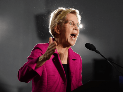 Democratic presidential candidate Sen. Elizabeth Warren (D-MA), speaks at a campaign event at Clark Atlanta University on November 21, 2019 in Atlanta, Georgia. Warren, introduced by U.S. Rep. Ayanna Pressley (D-MA), spoke about workers' rights, fighting voter suppression and the accomplishments of Black women activists. (Photo by Elijah Nouvelage/Getty Images)