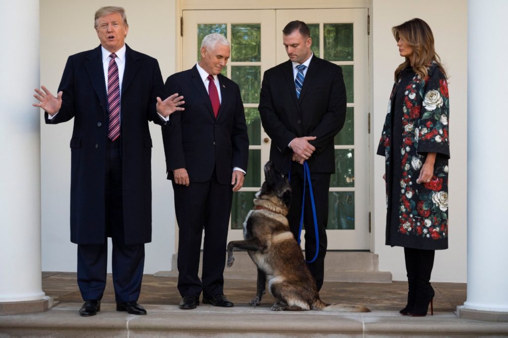 US President Donald Trump (L), Vice President Mike Pence (2nd L) and First Lady Melania Trump (R) stand with Conan, the military dog that was involved with the death of ISIS leader Abu Bakr al-Baghdadi, at the White House in Washington, DC, on November 25, 2019. (Photo by JIM WATSON / AFP) (Photo by JIM WATSON/AFP via Getty Images)