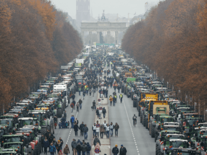 Overall view shows hundreds of farmers lining up with their tractors along "Strasse des 17. Juni" Avenue towards Brandenburg Gate (background) during a protest on November 26, 2019 in Berlin against the German government's agricultural policy including plans to phase out glyphosate pesticides and to implement more animal protection. (Photo …