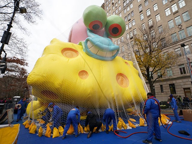 The SpongeBob SquarePants balloon is kept under a net after it is inflated during the Macy's Thanksgiving Day Parade balloon inflation in New York City on November 27, 2019, offering spectators the chance to see the giant balloons being inflated ahead of tomorrow's Parade. - Macy's and NYPD will make …