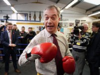 BOLSOVER, ENGLAND - NOVEMBER 05: Brexit party leader Nigel Farage attends an election campaign event at Bolsover Boxing Club on November 5, 2019 in Bolsover, England. The UK’s main parties are gearing up for a December 12 general election after the motion was carried in a bid to break the …