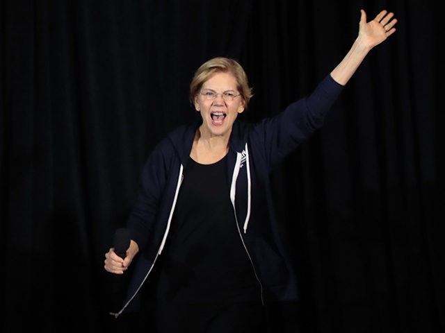 WEST DES MOINES, IOWA - NOVEMBER 25: Democratic presidential candidate Sen. Elizabeth Warren (D-MA) speaks to guests during a campaign stop at the Val Air Ballroom on November 25, 2019 in West Des Moines, Iowa. The 2020 Iowa Democratic caucuses will take place on February 3, 2020, making it the …