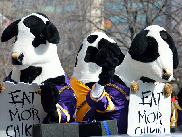 Atlanta, Georgia, USA - December 31, 2012: Famous ' Eat Mor Chikin ' cows at parade leading up to the Chick-fil-A bowl game. Event took place at the Georgia Dome with Clemson and LSU on December 31, 2012.