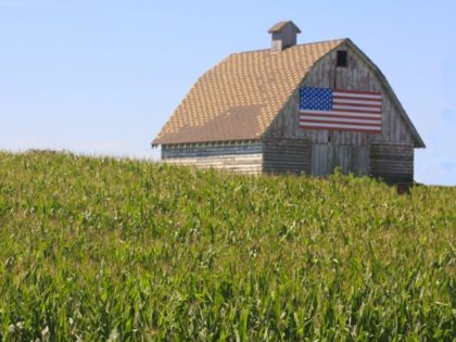 Corn, Flag Paint a Rustic Picture in Rural Iowa
