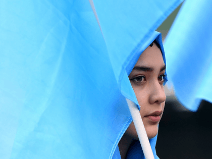 A woman takes part in a protest march of Ethnic Uighurs asking for the European Union to call upon China to respect human rights in the Chinese Xinjiang region and asking for the closure of "re-education center" where some Uighurs are detained, during a demonstration around the EU institutions in …