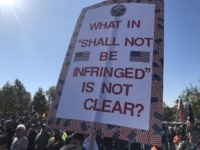 Second Amendment Rally