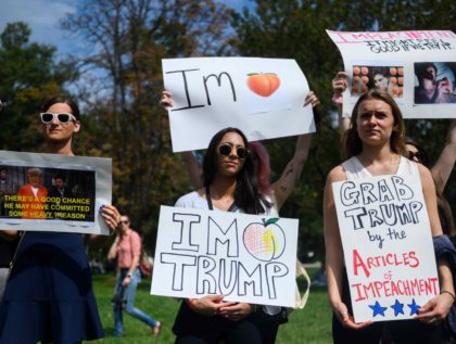 Impeachment protest rally (Andrew Caballero-Reynolds / Getty)