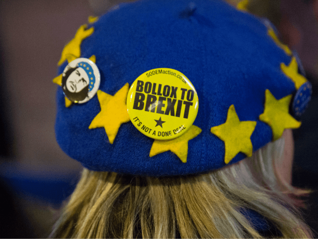 LONDON, ENGLAND - MARCH 12: Protesters from the remain and Brexit camps demonstrate on Col