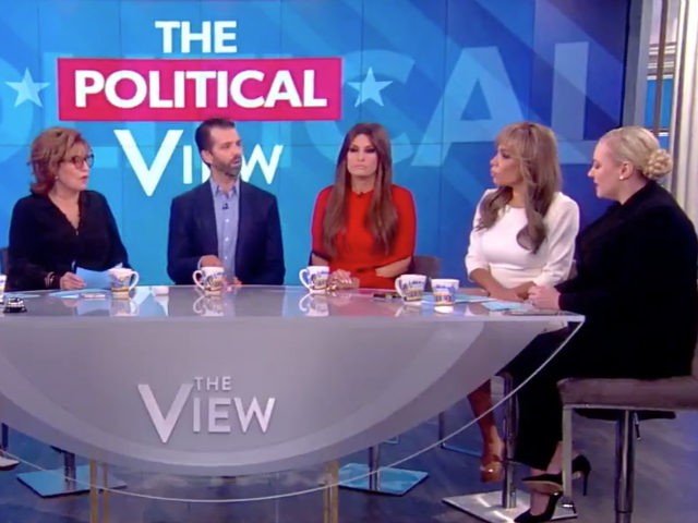 Donald Trump Jr. and girlfriend Kimberly Guilfoyle appeared on The View on November 7, 201
