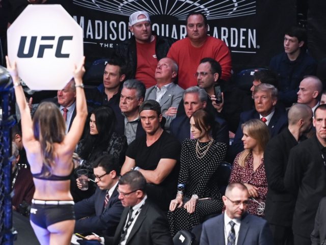 Trump at UFC (Andrew Caballero-Reynolds / AFP / Getty)