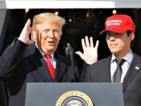 Bloomberg Campaign Manager: Trump Is on a ‘Path to Victory’ Right Now