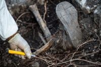 Forensic personnel of the Mexican Attorney General work in the exhumation of human remains found during the activities of the fourth National Search Brigade, in Huitzuco de los Figueroa, Guerrero state, Mexico, on January 21, 2019. - More than 40,000 people are missing in Mexico, which has been swept by …