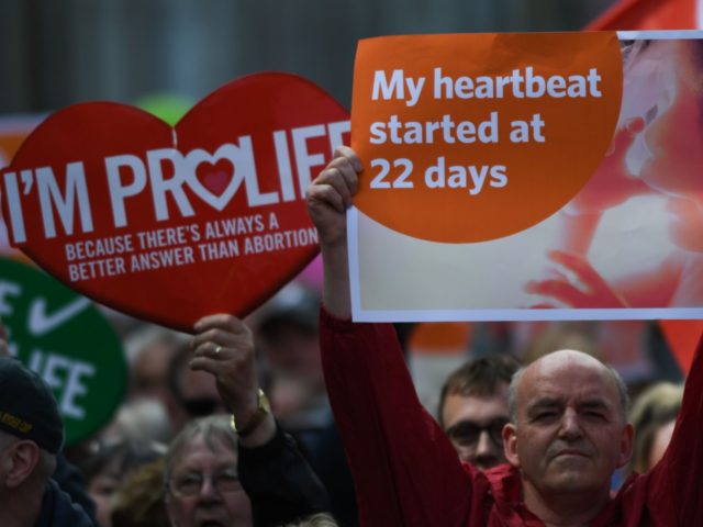 People hold up placards during a "Stand up for Life" rally calling for a 'no' vote in the upcoming referendum, to preserve the eighth amendment of the Irish constitution, a subsection that effectively outlaws abortion in most cases, in Dublin on May 12, 2018. - Ireland will hold a referendum …