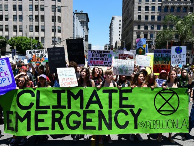 Climate change activists, both young and old, take part in the international Strike for Climate protest in Los Angeles, California on May 24, 2019. (Photo by Frederic J. BROWN / AFP) (Photo credit should read FREDERIC J. BROWN/AFP via Getty Images)