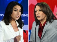Tulsi Gabbard and Kamala Harris Brawl at Democrat Debate