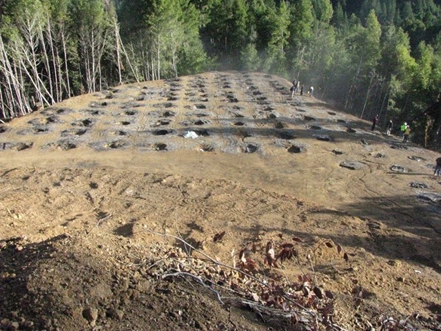 In this undated photo provided by the California Department of Fish and Wildlife, are the remains of a marijuana farm on private land in the Eel River watershed near Willits, Calif. However many of California's pot growers come off the black market when recreational marijuana becomes legal here next month, legalization will bring environmental rules and regulators to an industry notorious for bulldozing forest, draining streams, and strewing banned poisons. Plot for plot, according to a study published this year, illegal marijuana cultivation does more damage than commercial logging in remote forests of northern California, the hub for the U.S. cannabis industry. (California Department of Fish and Wildlife via AP)