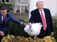 Donald Trump Jokes About Impeachment During Thanksgiving Turkey Pardon