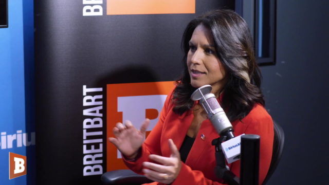 Tulsi Gabbard: How to Find Workouts That ‘Kick Your Ass’ Even While Traveling