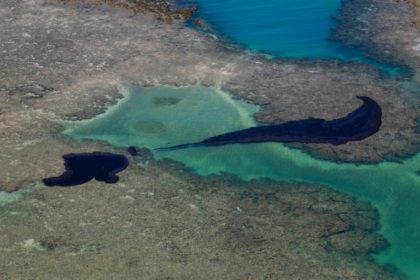 Bits of oil from Brazil spill reach whale sanctuary