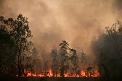 Sydney region faces 'catastrophic' bushfire threat