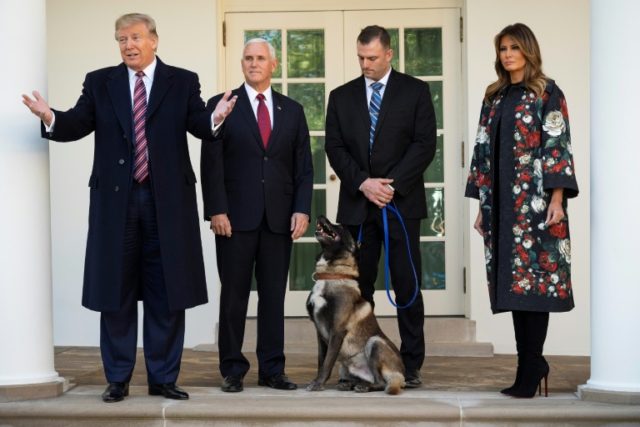 Trump presents Conan, the 'incredible' dog injured in Baghdadi raid