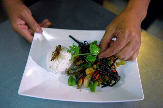 This story has legs: Cambodia 'bug cafe' serves up insect tapas