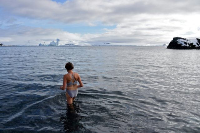 In Antarctica, tourists swim among penguins