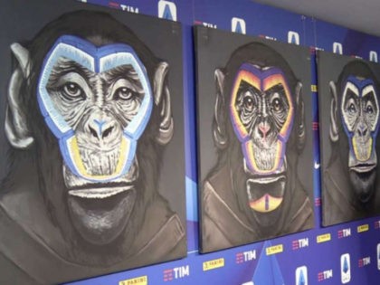 Monkey Paintings