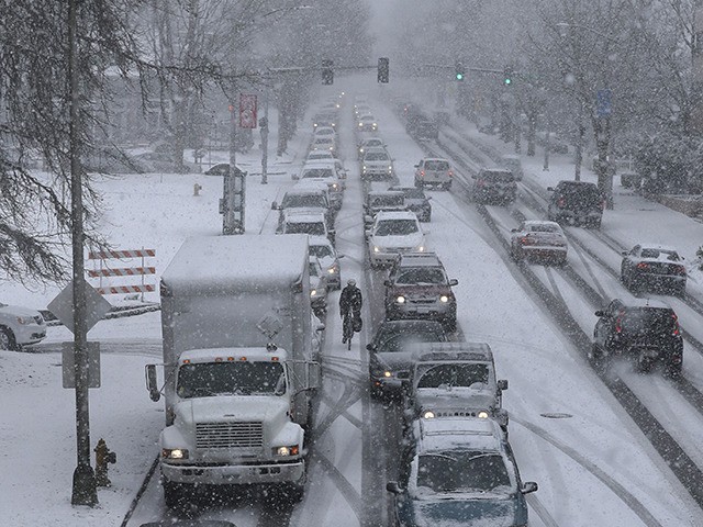 Cars, trucks, and a lone cyclist make their way in the snow on Capitol Way, Friday, Feb. 8