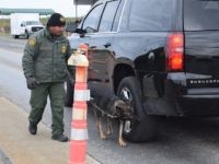 Another Armed Human Smuggler Arrested in Texas near Border