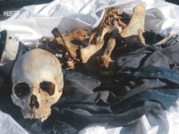 A Brooks County Sheriff's Office deputy recovers the skeletal remains of a migrant who died 80 miles from Texas-Mexico Border. (